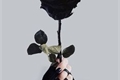 História: Black Rose ( O segredo na floresta )