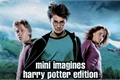 História: Mini Imagines - HP (fanboy)
