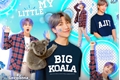 História: My Little Big Koala - Namjin
