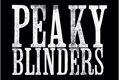 História: Peaky blinders nova era