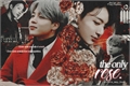 História: The Only Rose! - Jikook (OneShot)