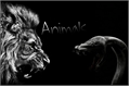 História: Animals