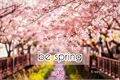 História: Be Spring