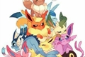 História: Eeveelutions da zueira