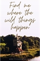 História: Find me where the wild things happen