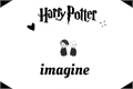 História: Imagine Harry Potter (Harry Potter x Leitora)