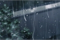 História: .rain ;; younghoon