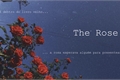 História: The Rose