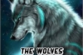 História: The Wolves- conclu&#237;da-