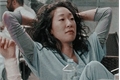 História: Acidente em seattle - Cristina Yang