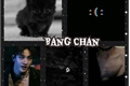 História: Gato Preto - Bang Chan -Fanboy