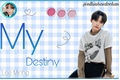História: My destiny - Lee know ( Minho )