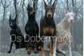 História: Os Dobermans
