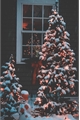 História: Our home on Christmas Day - OneShot (TobiIzu)