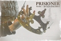 História: Prisioner - (Mareven-Maven Calore and Mare Barrow) English