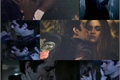 História: Quando Eu te beijei Tudo Mudou