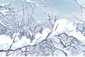História: Flocos de neve e Park Sunghoon