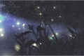 História: Fireflies -Sycaro e Tawum