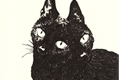 História: Gato preto de duas cabe&#231;as na janela