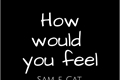 História: How would you feel - Sam e Cat (oneshot)