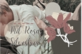 História: Mil Rosas Silvestres.