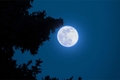 História: Sciles - Blue Moon