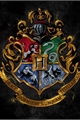 História: Sua vida em Hogwarts