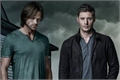 História: The Winchester Brothers