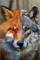 História: Wolf X Fox (DL)