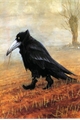 História: A cartola do corvo