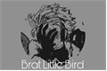 História: Brat Little Bird - Imagine Hawks