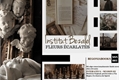 História: Institut Bezalel: Fleurs &#201;carlates (INTERATIVA)