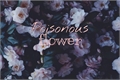 História: Poisonous Flower