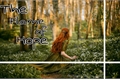 História: The Flame of Hope - O Hobbit [SEMI-HIATUS]