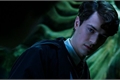 História: Tom Riddle imagine