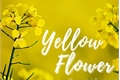 História: Yellow Flower