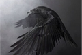 História: BlackBird - Continue a voar