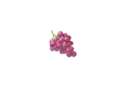 História: Luvas com sabor de uva.