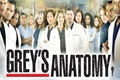 História: Onde eu vim parar? Greys Anatomy