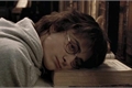 História: Harry Potter - As ru&#237;nas do amor