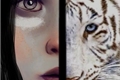 História: Miraculous - A Lenda do Tigre