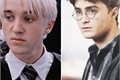 História: Rivais at&#233; demais (Drarry)