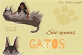 História: S&#227;o apenas gatos.