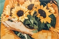 História: Sunflowers - heehye
