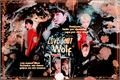 História: LOVE SHOT! Wolf- CHANBAEK