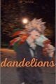História: Dandelions - katsuki bakugou