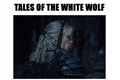 História: Tales of the white wolf.