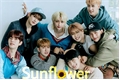 História: Sunflower - SKZ