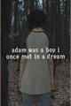 História: Adam was a boy i once met in a dream.