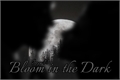 História: Bloom in the Dark - GrindelGranger